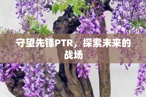 守望先锋PTR，探索未来的战场