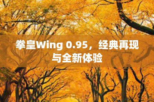 拳皇Wing 0.95，经典再现与全新体验