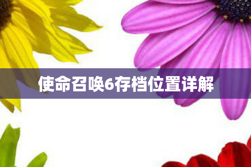 使命召唤6存档位置详解