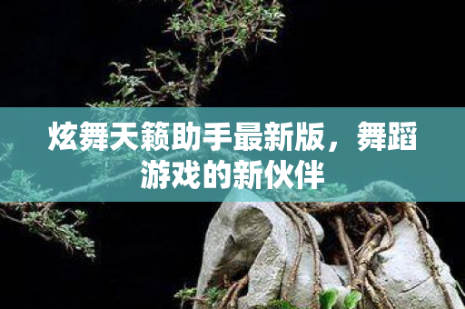 炫舞天籁助手最新版，舞蹈游戏的新伙伴