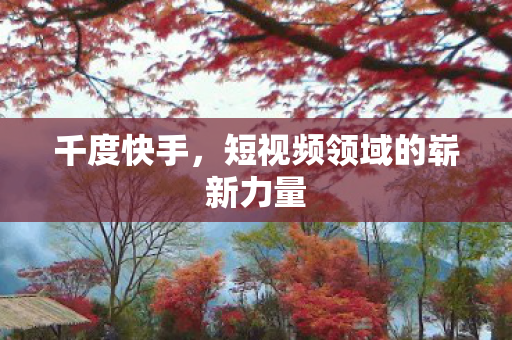 千度快手，短视频领域的崭新力量