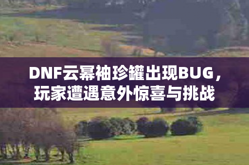 DNF云幂袖珍罐出现BUG，玩家遭遇意外惊喜与挑战
