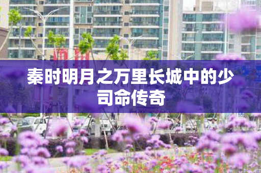 秦时明月之万里长城中的少司命传奇