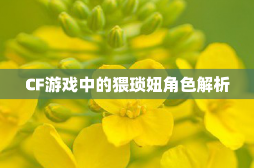 CF游戏中的猥琐妞角色解析