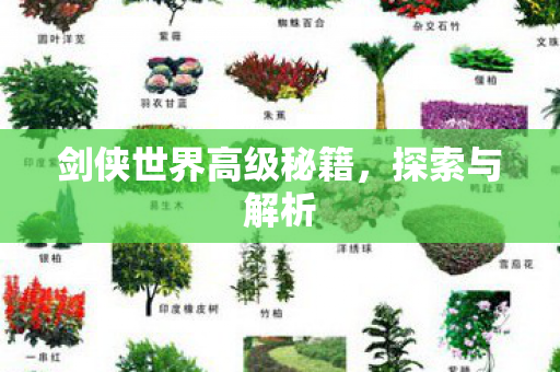 剑侠世界高级秘籍，探索与解析