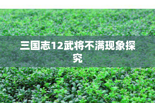 三国志12武将不满现象探究