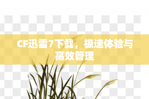 CF迅雷7下载，极速体验与高效管理