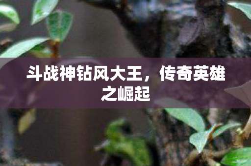 斗战神钻风大王，传奇英雄之崛起