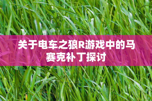 关于电车之狼R游戏中的马赛克补丁探讨