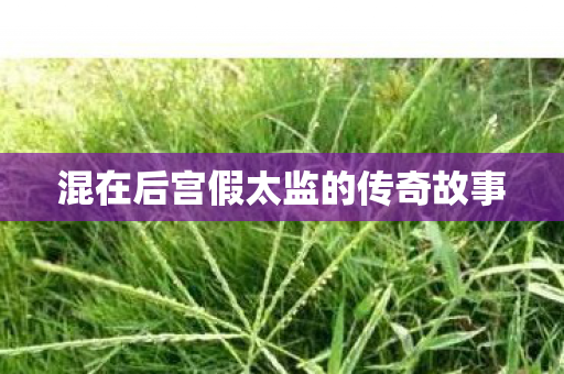 混在后宫假太监的传奇故事