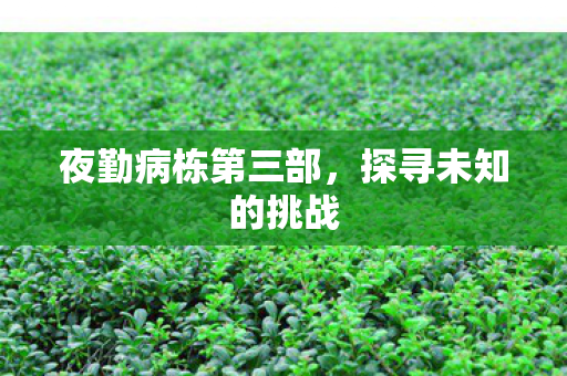 夜勤病栋第三部，探寻未知的挑战