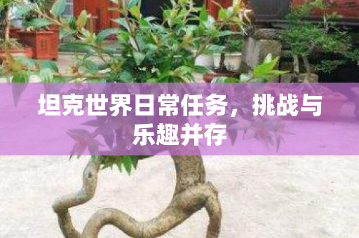 坦克世界日常任务，挑战与乐趣并存