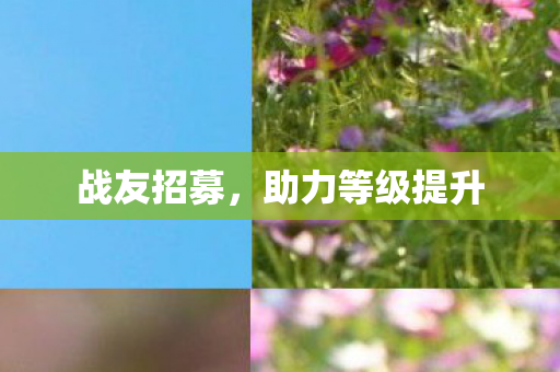 战友招募，助力等级提升