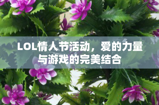 LOL情人节活动，爱的力量与游戏的完美结合