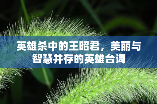英雄杀中的王昭君，美丽与智慧并存的英雄台词