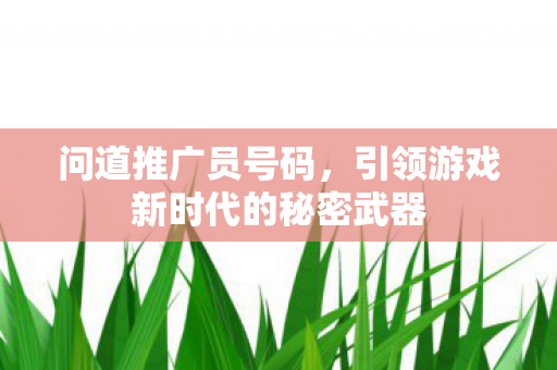 问道推广员号码，引领游戏新时代的秘密武器