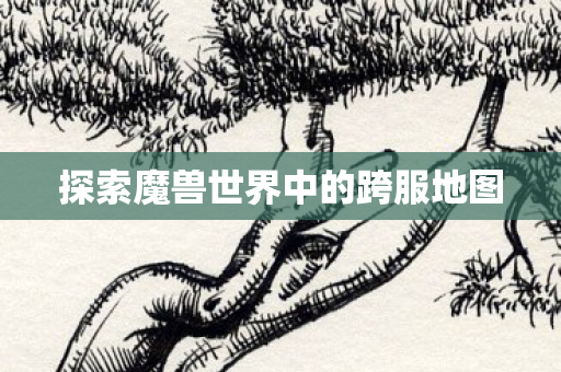 探索魔兽世界中的跨服地图