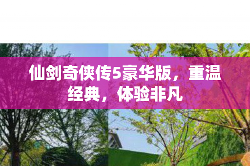 仙剑奇侠传5豪华版，重温经典，体验非凡