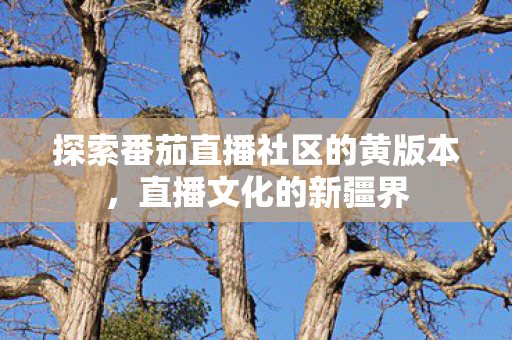 探索番茄直播社区的黄版本，直播文化的新疆界