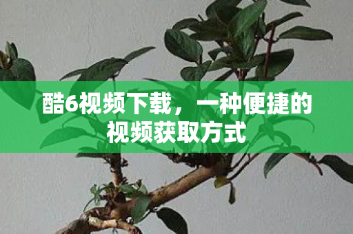 酷6视频下载，一种便捷的视频获取方式