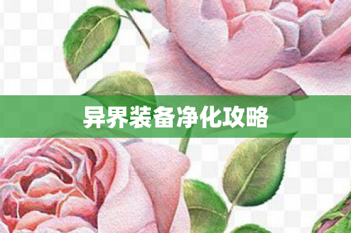异界装备净化攻略