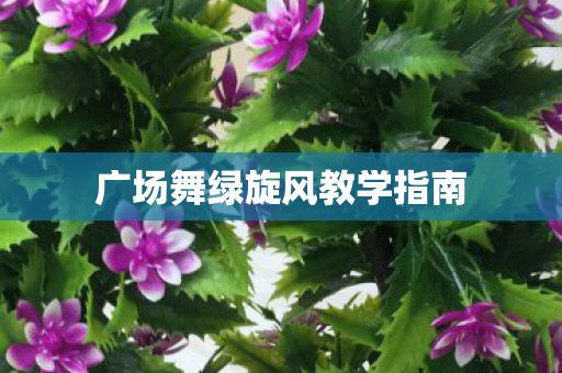 广场舞绿旋风教学指南