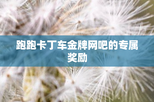 跑跑卡丁车金牌网吧的专属奖励