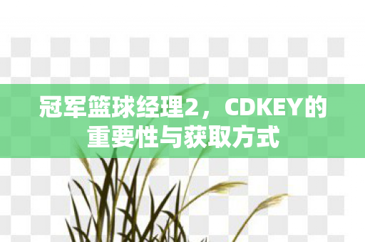 冠军篮球经理2，CDKEY的重要性与获取方式