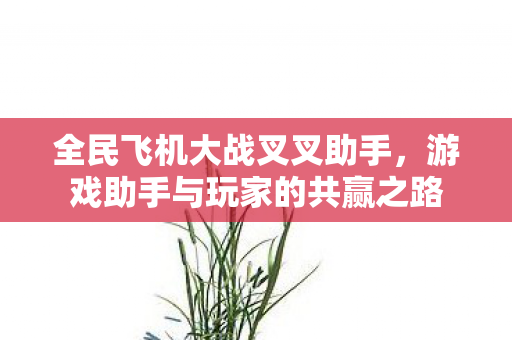 全民飞机大战叉叉助手，游戏助手与玩家的共赢之路