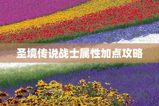 圣境传说战士属性加点攻略