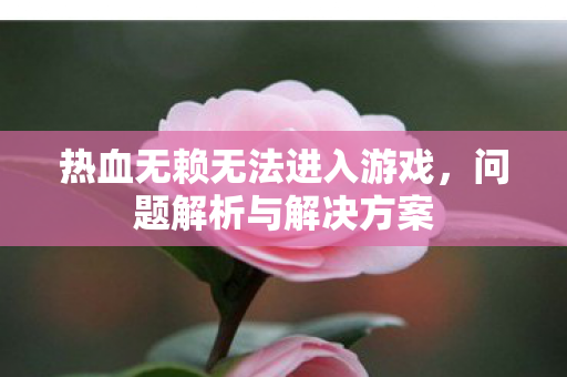 热血无赖无法进入游戏，问题解析与解决方案