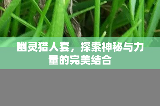 幽灵猎人套，探索神秘与力量的完美结合