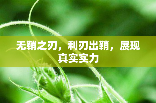 无鞘之刃，利刃出鞘，展现真实实力