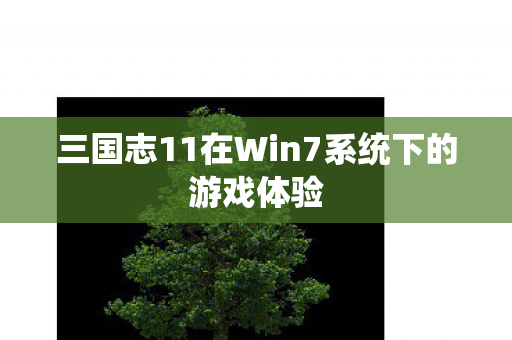 三国志11在Win7系统下的游戏体验