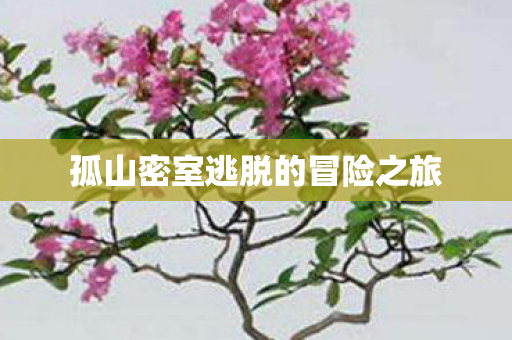 孤山密室逃脱的冒险之旅