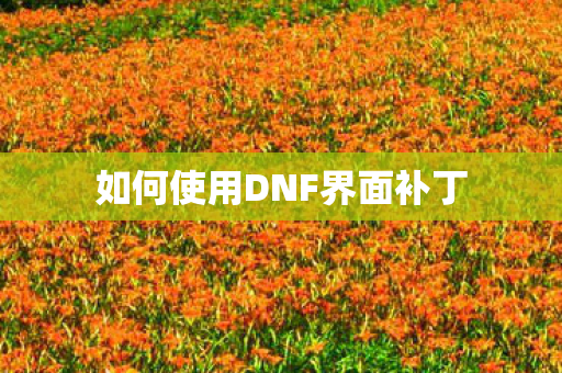 如何使用DNF界面补丁