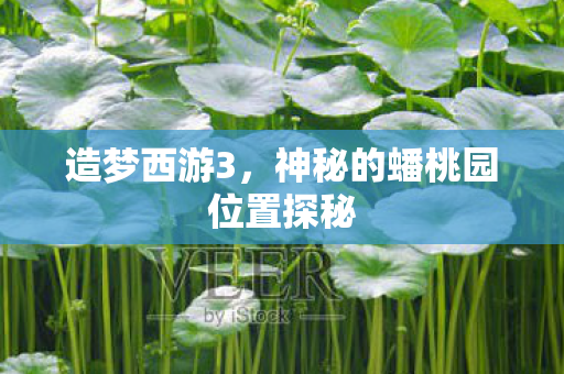 造梦西游3，神秘的蟠桃园位置探秘