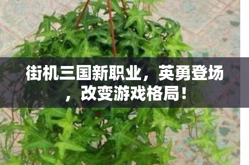 街机三国新职业，英勇登场，改变游戏格局！