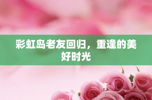 彩虹岛老友回归，重逢的美好时光