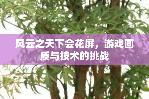 风云之天下会花屏，游戏画质与技术的挑战