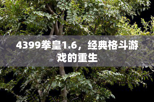 4399拳皇1.6，经典格斗游戏的重生