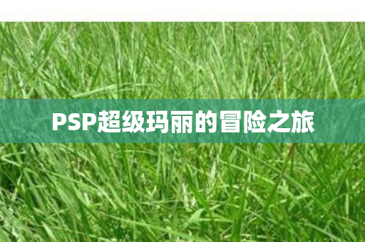 PSP超级玛丽的冒险之旅