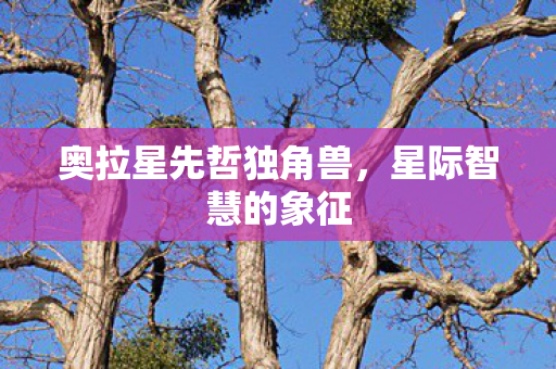 奥拉星先哲独角兽，星际智慧的象征