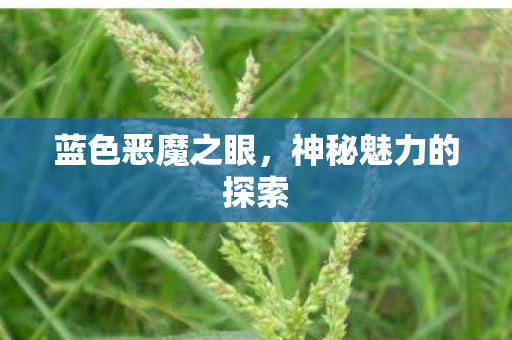 蓝色恶魔之眼，神秘魅力的探索