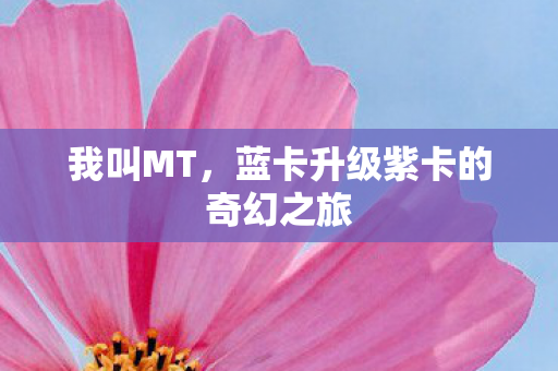 我叫MT，蓝卡升级紫卡的奇幻之旅