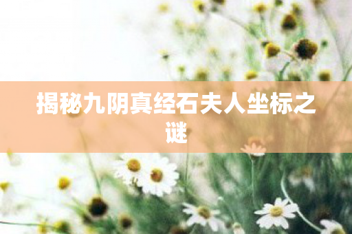 揭秘九阴真经石夫人坐标之谜
