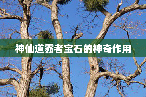 神仙道霸者宝石的神奇作用
