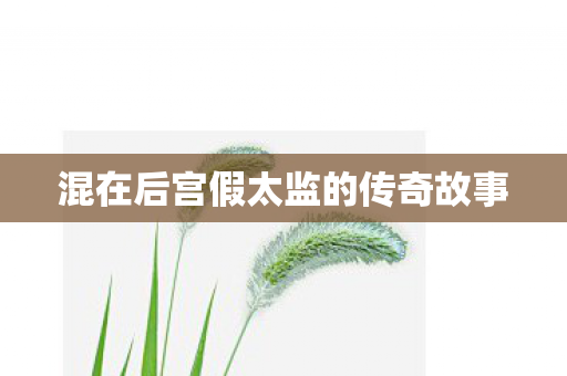 混在后宫假太监的传奇故事