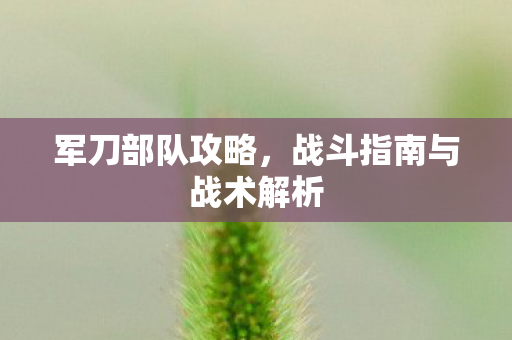 军刀部队攻略，战斗指南与战术解析