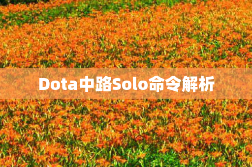 Dota中路Solo命令解析